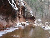 Coconino National Forest
