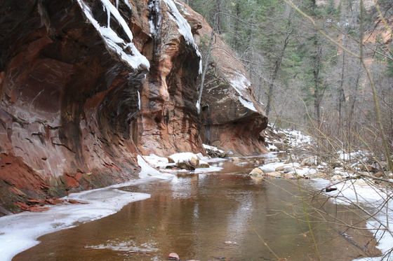 Coconino National Forest