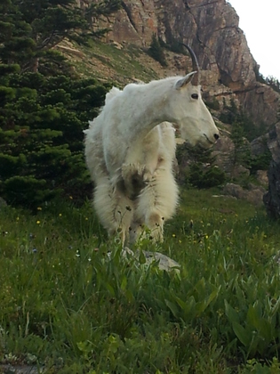 Glacier National Park