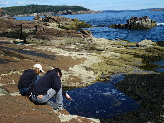 Acadia National Park