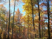 Great Smoky Mountains National Park