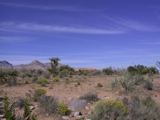 Red Rock National Recreation Area