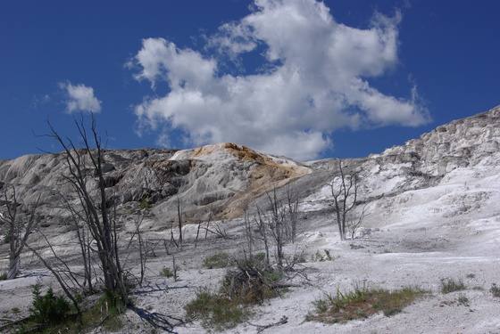 Yellowstone National Park
