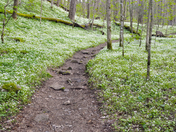 Great Smoky Mountains National Park