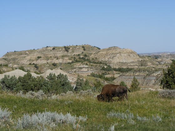 Theodore Roosevelt National Memorial Park
