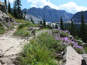 Glacier National Park