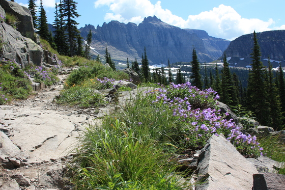 Glacier National Park