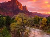 Zion National Park