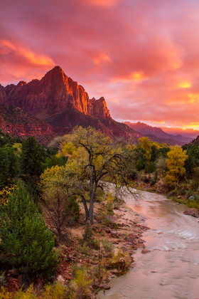 Zion National Park