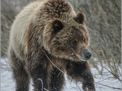 Grand Teton National Park