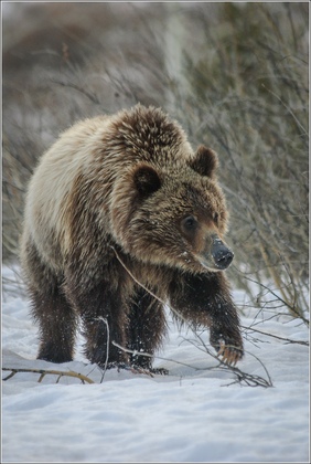 Grand Teton National Park