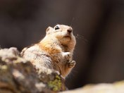 Rocky Mountain National Park
