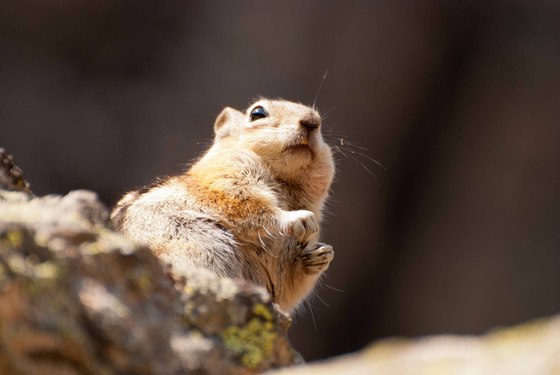 Rocky Mountain National Park