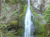 Olympic National Park