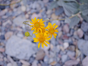 Death Valley National Park