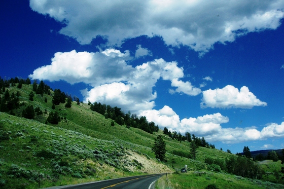 Yellowstone National Park