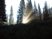 Glacier National Park