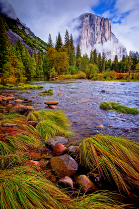 Yosemite Nat'l Park
