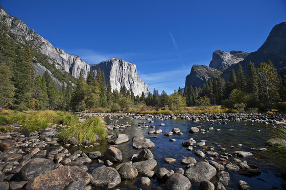 Yosemite National Park