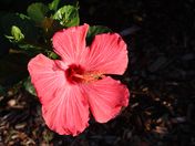 GRAND CANYON NATIONAL PARK