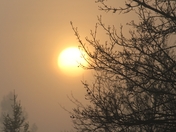 Sun ris through the mist