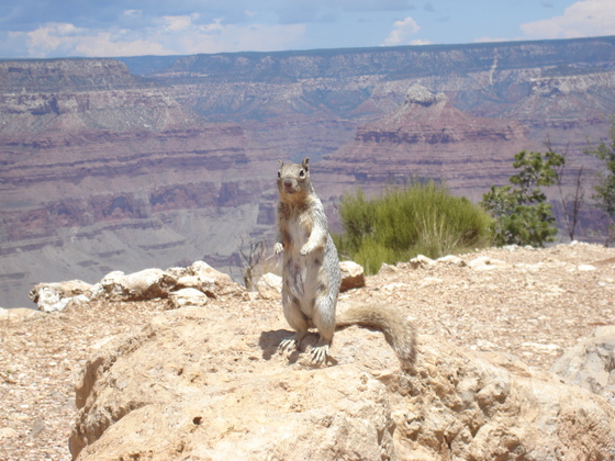 Grand Canyon