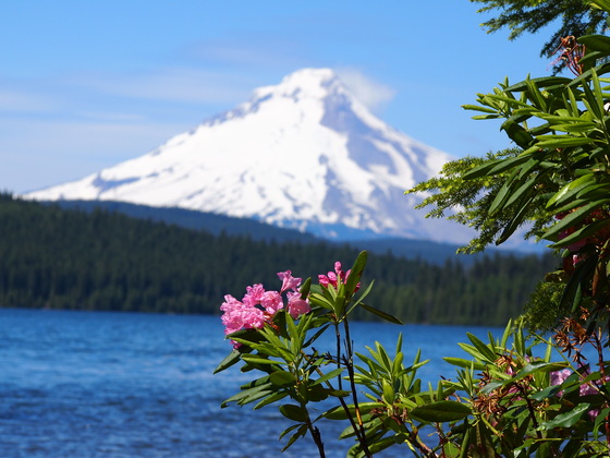 Timothy Lake