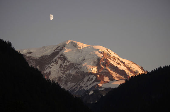 Mt. Rainier National Park