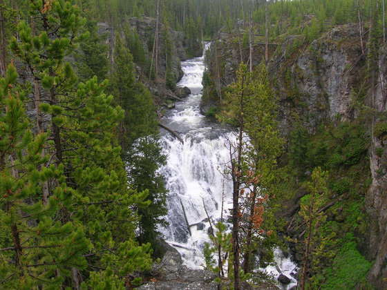 Yellowstone
