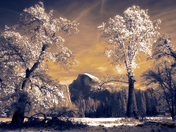 Yosemite National Park