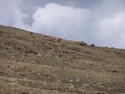 Rocky Mountain National Part