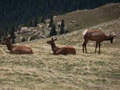 Rocky Mountain National Park