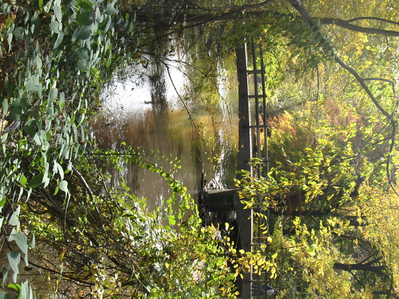 Rock Creek Park