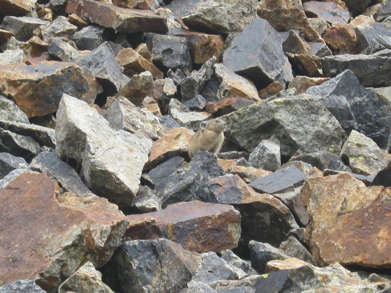Alpine Loop CO