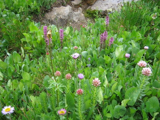 San Juan National Forest