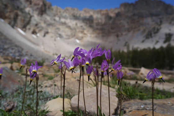 Great Basin National Park