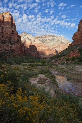Zion National Park