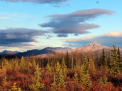 Denali National Park