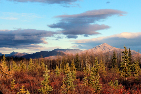 Denali National Park