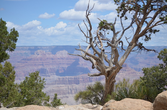 grand canyon