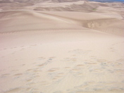 Great Sand Dunes National Park & Preserve