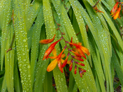 Point Reyes National Seashore
