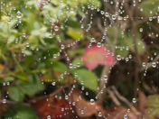 Point Reyes National Seashore