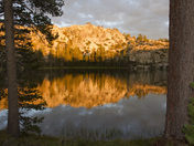 Tahoe National Forest