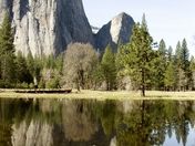 Yosemite National Park