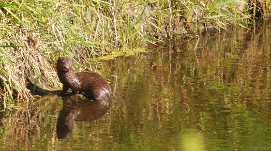 Malheur National Wildlife Refuge