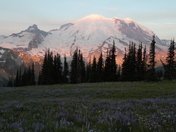 Mount Rainier National Park
