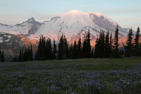 Mount Rainier National Park