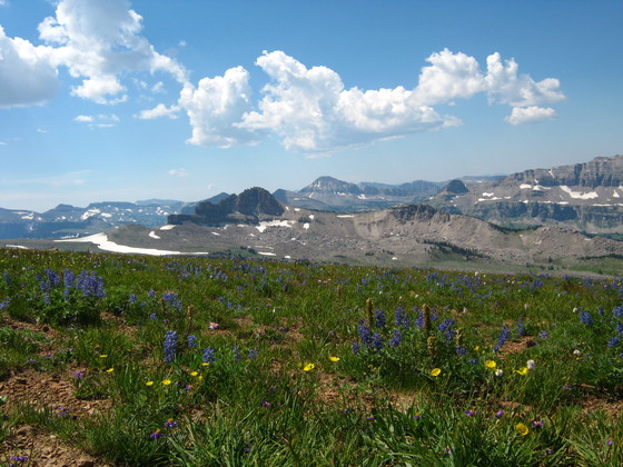 Jedediah Smith Wilderness