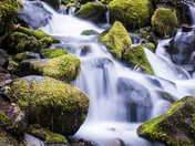 Olympic National Park